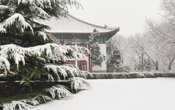 内蒙古局地仍有雨夹雪 呼和浩特白天气温-9℃