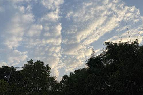 广东中北部市县阴天有小雨 南部多云气温下降体感湿冷