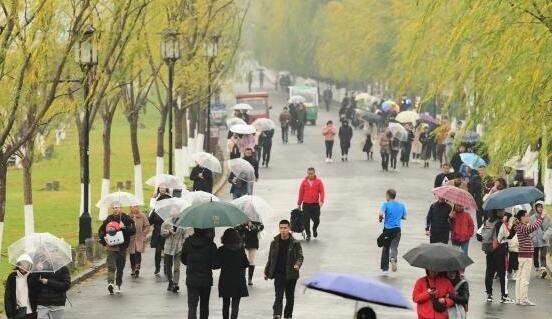 浙江周末阴雨天需备好雨具 杭州白天气温仅有7℃