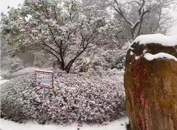 庐山下雪最新天气预报 气温来到-2℃到+2℃