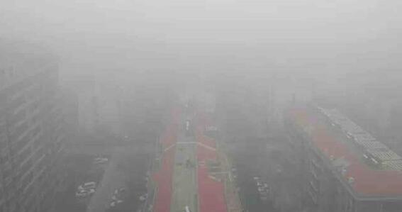 山东继续发布大雾红色预警 省内200多个高速关闭或限行