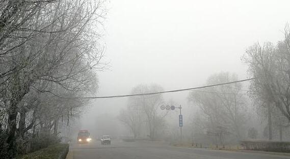 今晨河北多条高速因雾管制 本周晴到多云天气为主