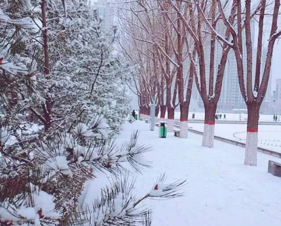 北方冷空气带来大范围雨雪 南方雨水明天加大