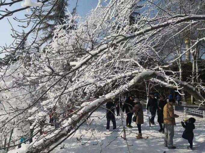 北京第三场雪确认降落 最高气温降到-6℃