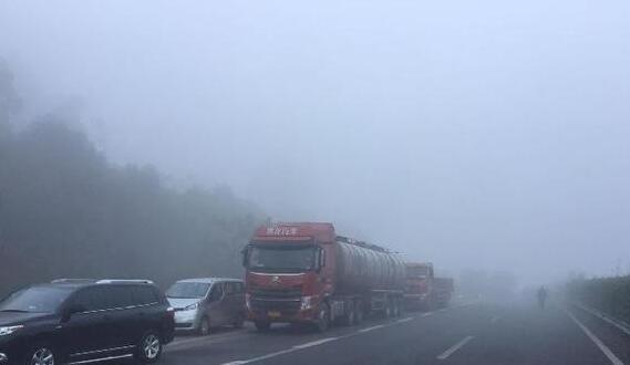 重庆依旧是雨雾环绕 主城气温最高仅有12℃