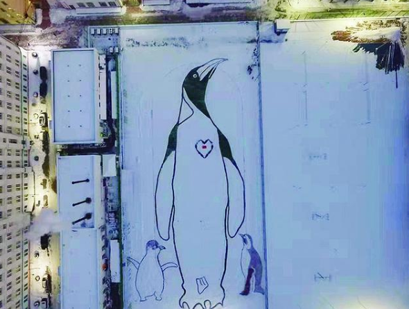 雪地里铲出90米巨型企鹅是怎么回事？哈师大又做出3只企鹅