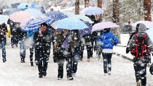 昨日黑龙江发布暴雪预警 哈尔滨机场已取消149架次