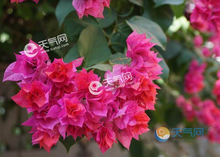 2020一个人春节去哪里旅游比较好 适合过年独自出游的最佳去处