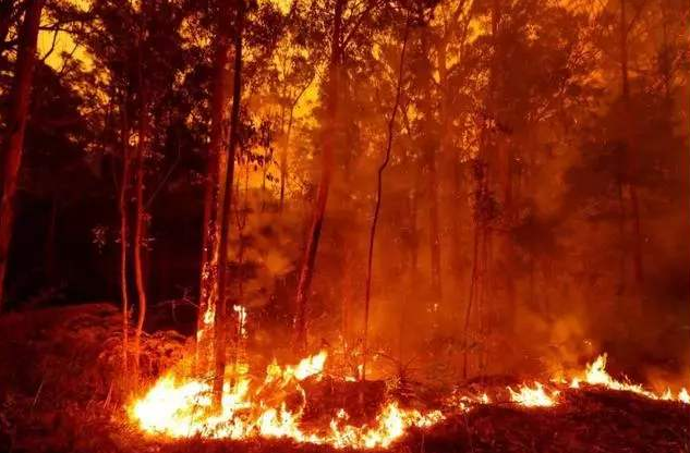 澳大利亚山火已酿成19死惨剧 维州另有28人失踪