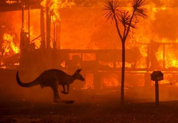 澳大利亚野火可能失控 气温或超40℃还伴有强风