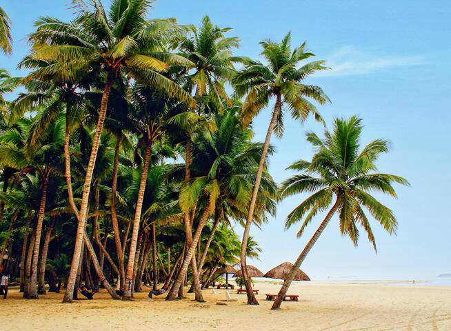 2020春节三亚游玩攻略 春节一家三口三亚游玩行程安排