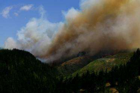 新西兰北岛突发森林火灾 已有300公顷森林燃烧