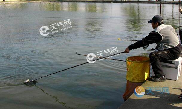 冬季钓鲫鱼什么饵最好 冬天用这鱼饵鲫鱼最容
