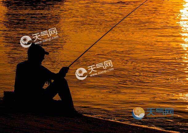 冬季钓鲫鱼什么饵最好 冬天用这鱼饵鲫鱼最容