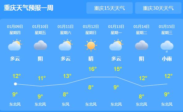重庆部分山区雨夹雪或小雪 主城区气温最高仅有12℃
