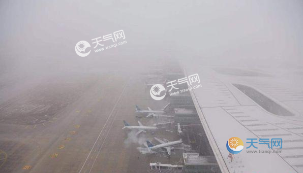 武汉机场排名2020_十一旅游,武汉人热情排名第八!小编教你这样玩,100多元