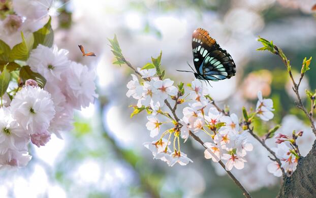 2020春节东莞旅游哪里好玩 过年东莞最有趣的地方推荐