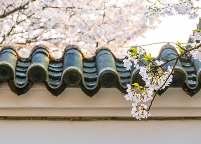 2020春节期间无锡旅游哪里好玩 春节无锡好玩好看的地方