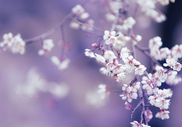 2020春节南昌旅游哪里好玩 春节期间南昌游玩必去景点