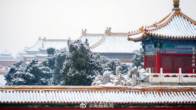 2020北京故宫春节开放时间 2020春节故宫活动攻略