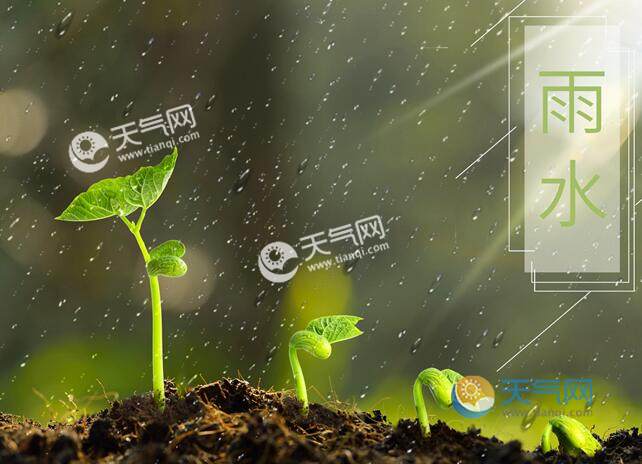 雨水节气的含义是什么 节气雨水是什么意思啊