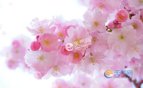 2月旅游出国推荐 最适合二月份外境游的国家