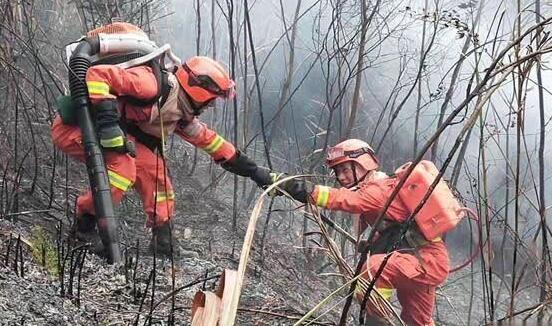 应急管理部：2019年全国森林火灾次数和面积明显下降