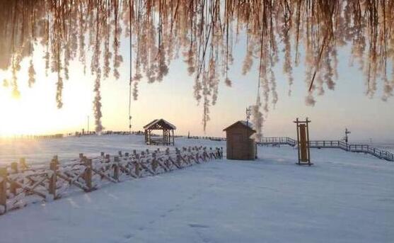 冷空气持续给新疆带来降雪 乌鲁木齐气温最高-8℃