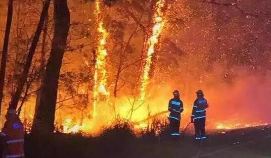 澳洲山火死亡人数增至29人 目前火情还未得到控制