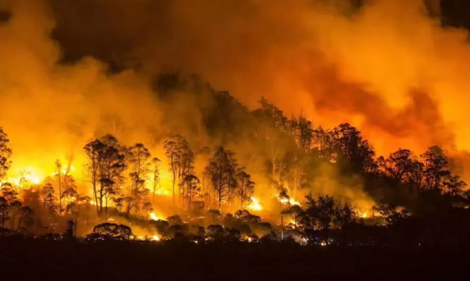 澳大利亚大火毒烟在南半球蔓延 绕地球一圈全球变暖背锅吗？