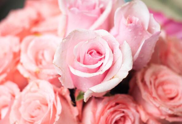 2020年8月14是什么情人节 每年的8月14是什么情人节