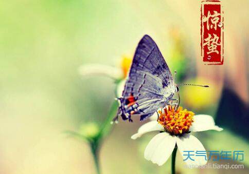 惊蛰是什么意思 惊蛰节气的含义
