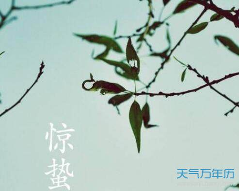 惊蛰是什么意思 惊蛰节气的含义