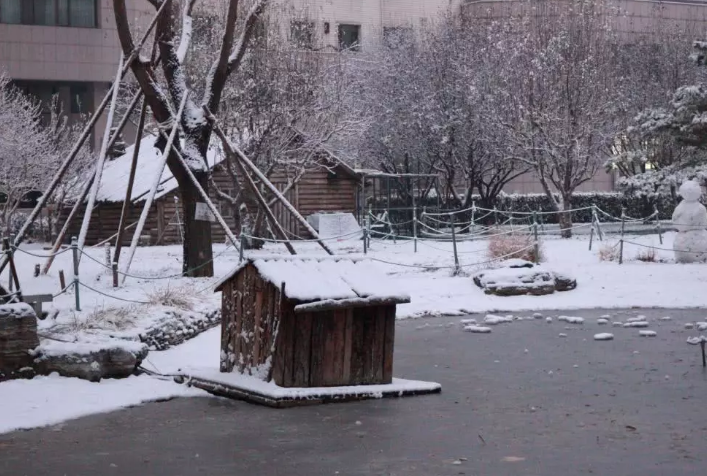 京津冀今年冬天下了6场雪！比往年严重偏多系暖冬所致