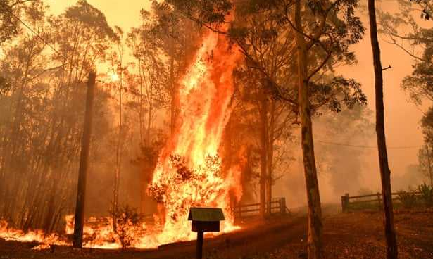 澳大利亚森林火灾迎来喜雨！4年来最大降雨光临悉尼助力灭火
