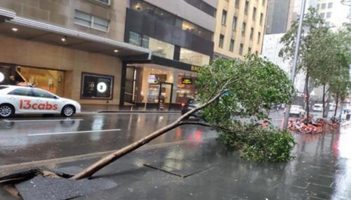 澳大利亚30年不遇大雨浇灭山火 暴雨洪水成超过山火的威胁