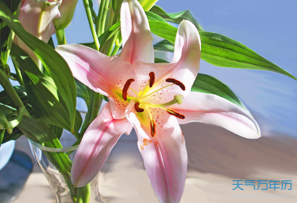 2020复活节是几月几日 2020什么时候是复活节【图】