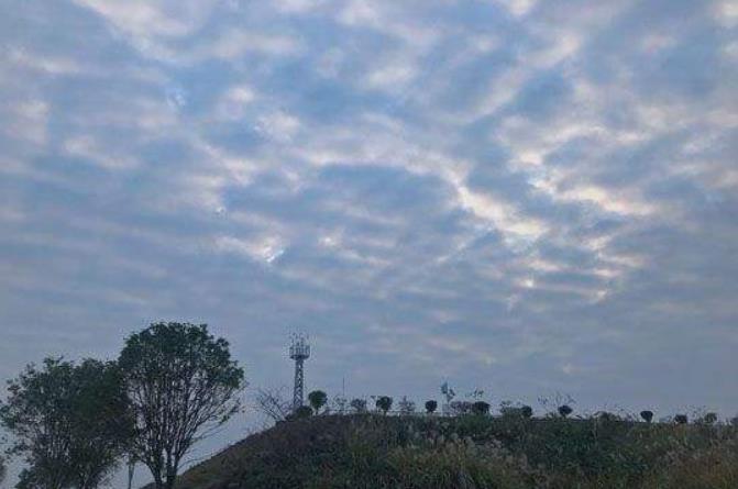 浙江大部阴雨要下三天 中南部雨势最大气温先升后降