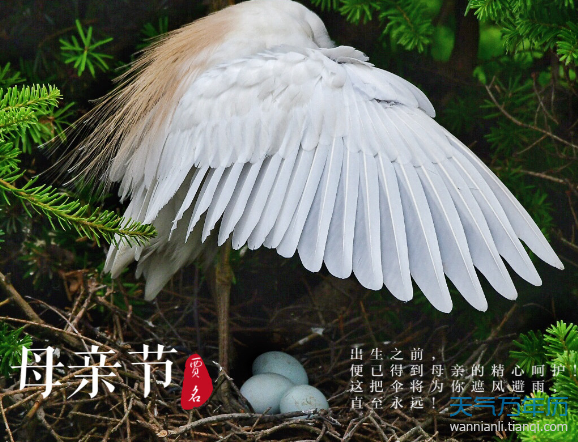 母亲节是几月几号 第一个母亲节是什么时候