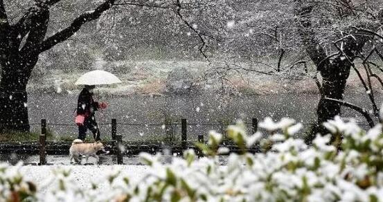 受冷气团影响 日本北海道多地出现-36℃低温