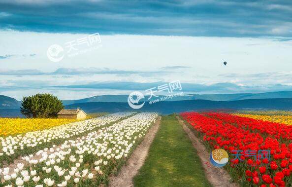 3月初适合去国外哪里旅游 三月上旬最适合游玩