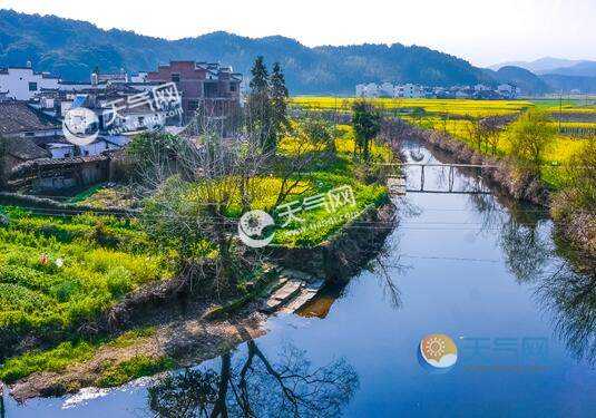 婺源2020油菜花什么時候開 2020江西婺源看油菜花攻略