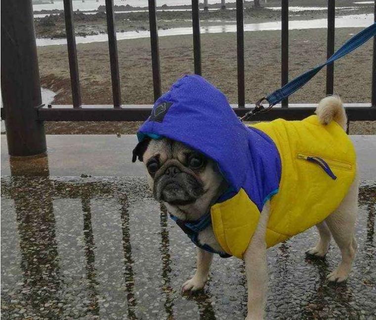 江西中南部雨势加强 北部雨水收敛冷空气入侵在即