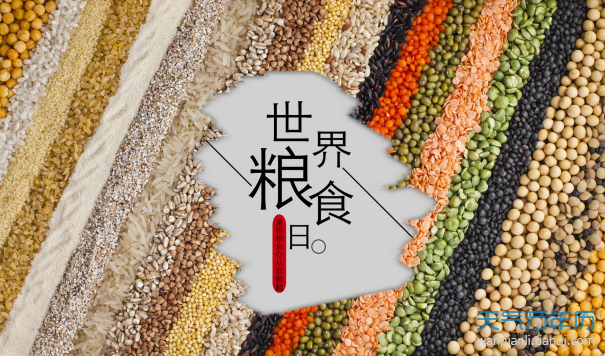 2020世界粮食日是哪一天 今年是第几个世界粮食日（多图）