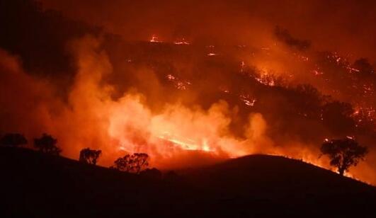 澳大利亚山火危机终得解决 火灾导致10亿只动物死亡