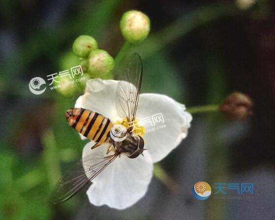 2020蘇州清明節(jié)去哪里玩比較好 蘇州清明節(jié)時(shí)節(jié)必去的地方