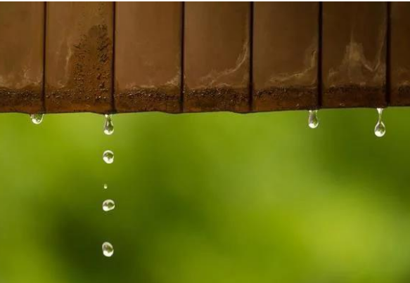 雨水的含义是什么意思 雨水节气是什么意思