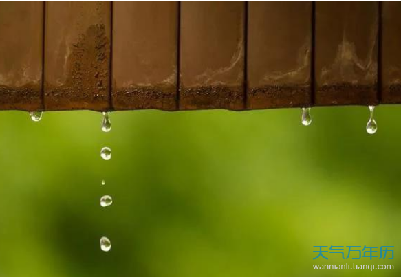 雨水的含义是什么意思 雨水节气是什么意思
