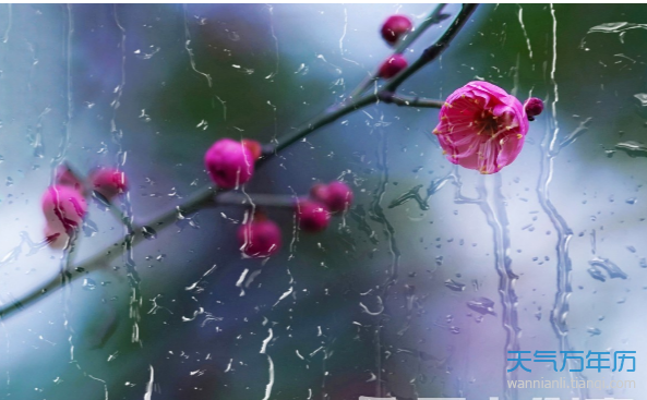 雨水的含义是什么意思 雨水节气是什么意思