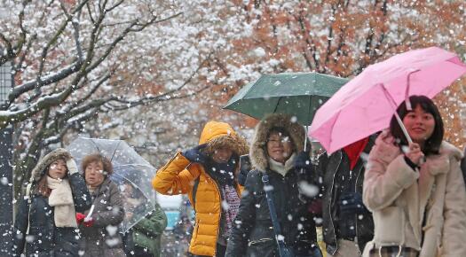 寒潮来袭日本多地风雪交加 北海道积雪深度超150厘米